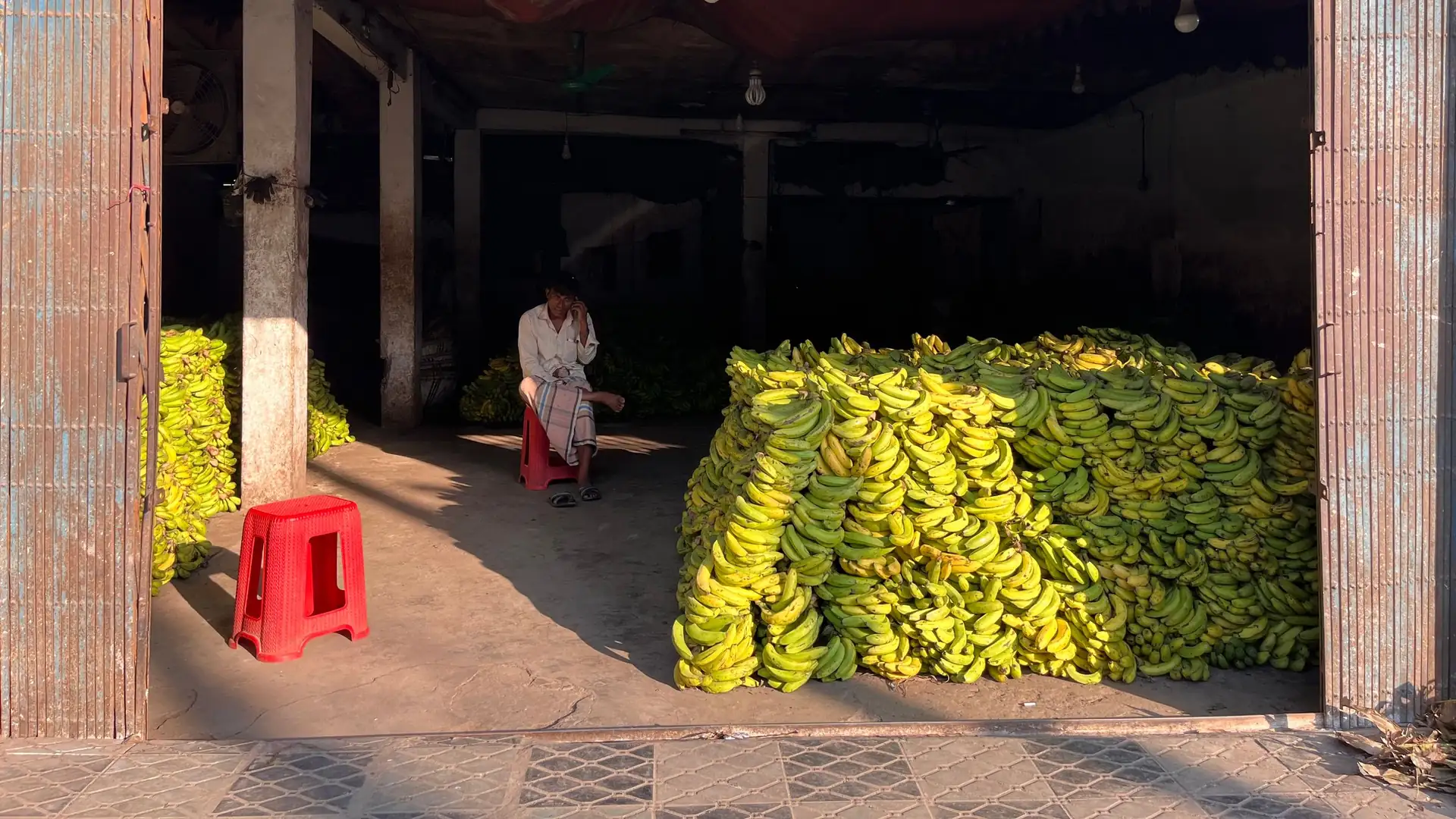 Workers handling boxes of bananas inside a sunlit produce warehouse